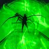 shadow_0431