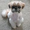 lisahall826