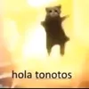 hola_tonotos12