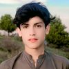 cricketlover4t3