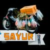 regar_sayur