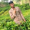 rasel57047