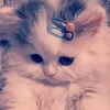 💓براندز فيكتوري 💓