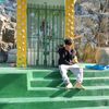 diego.yt798