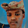 sid.ali4011