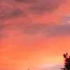 salahsatu_12
