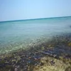 benjamink_072