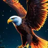 user8110497667519