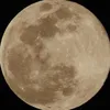 sarah_idarraga