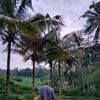 wilda.251