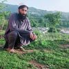 rahatafridi46