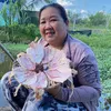 Khô Mực Cà Mau