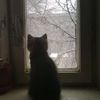 miskinestay
