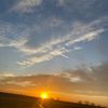 almasinamor