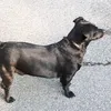littlepaul52