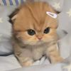 nandaluv__