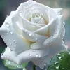 ana.garcia178