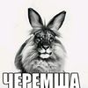 cheremsha54