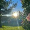nhuyy_6891