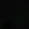 sccacound_2
