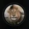 zxctom20