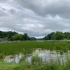 chris_83570