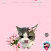 faruk37182