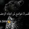 gr.zll0