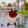user17529784318681