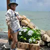 hoang.ha7232