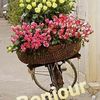 houdatahhan2
