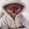 veroni_12