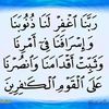 user7981033067395