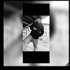 grendy_848_