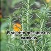 cristinaforero8