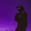 rybki17