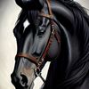 garii_22