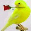 user5504445805438