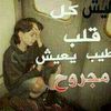 user5212624381527