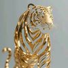 tigerrr79ed