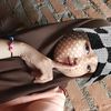 thebengki