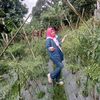 latifah.ifah093