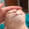 andyshandy69