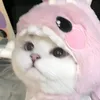 Meow Xinh Shop
