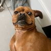 scrubydoo.r