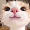 user98472627chyn