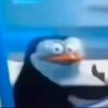 blitzpenguin