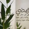 user68440869855816