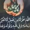 user1385244317020