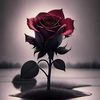 walidkaddour01